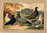 Taubenrassen Diverse Tauben Chromolitho aus Schachtzabel, um 1914